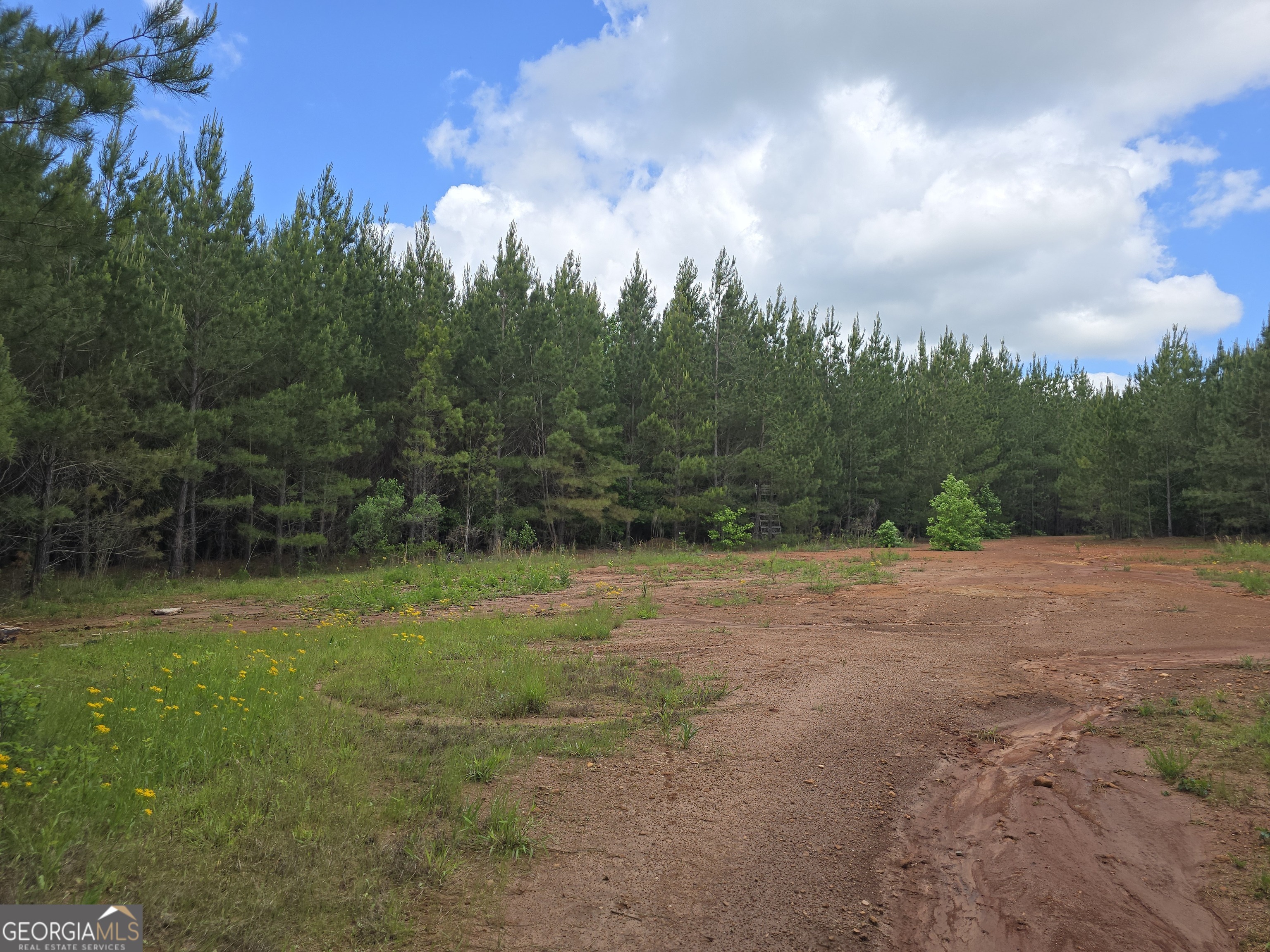 0 Davis Lake Road Property Photo 6