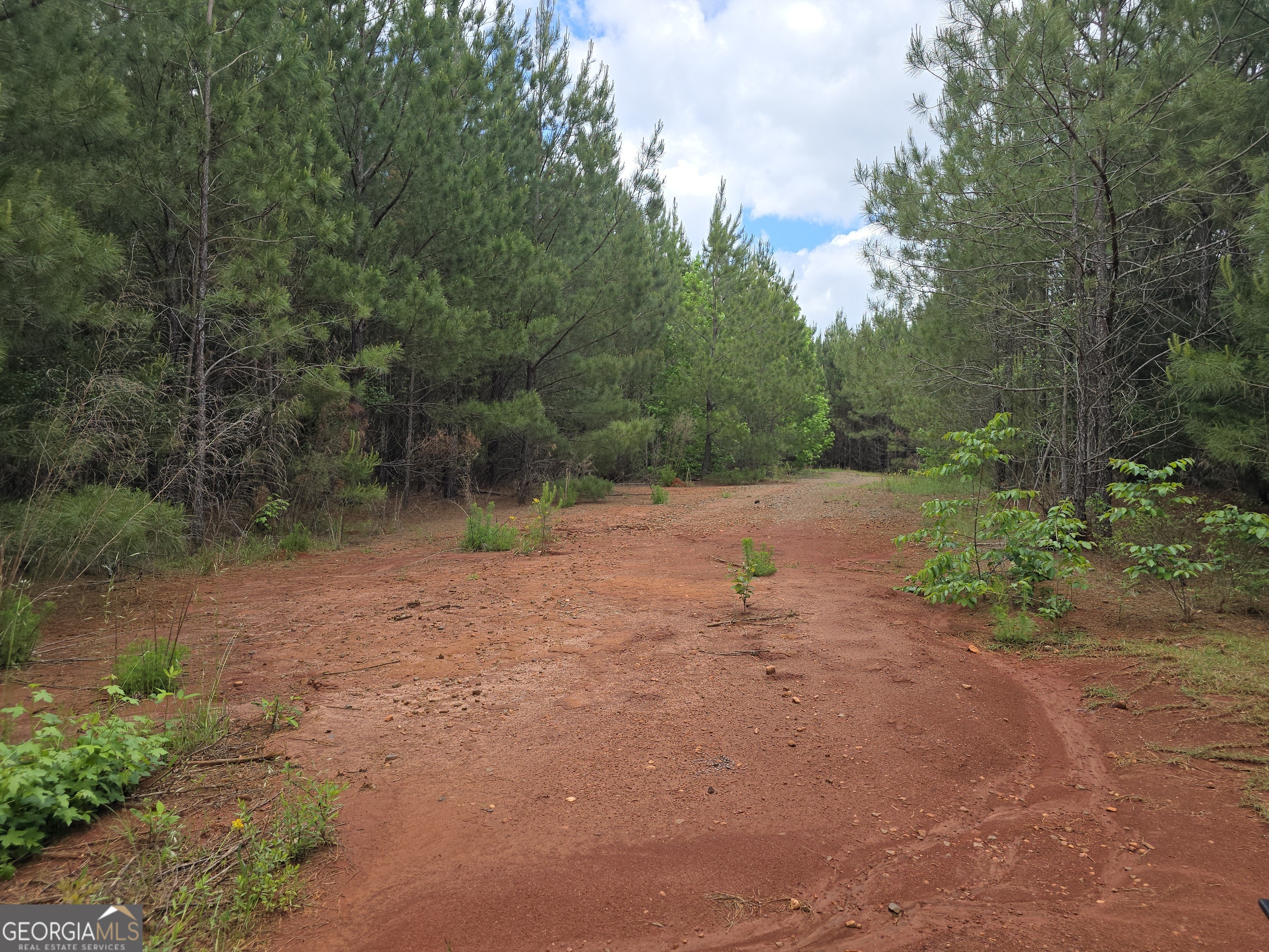 0 Davis Lake Road Property Photo 7