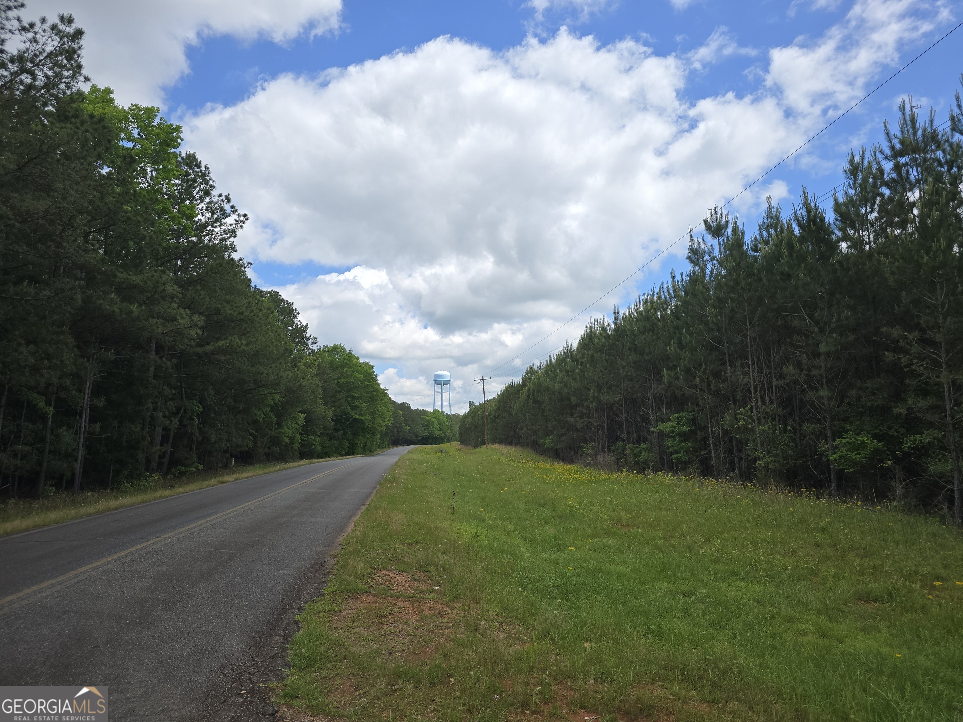 0 Davis Lake Road Property Photo 8