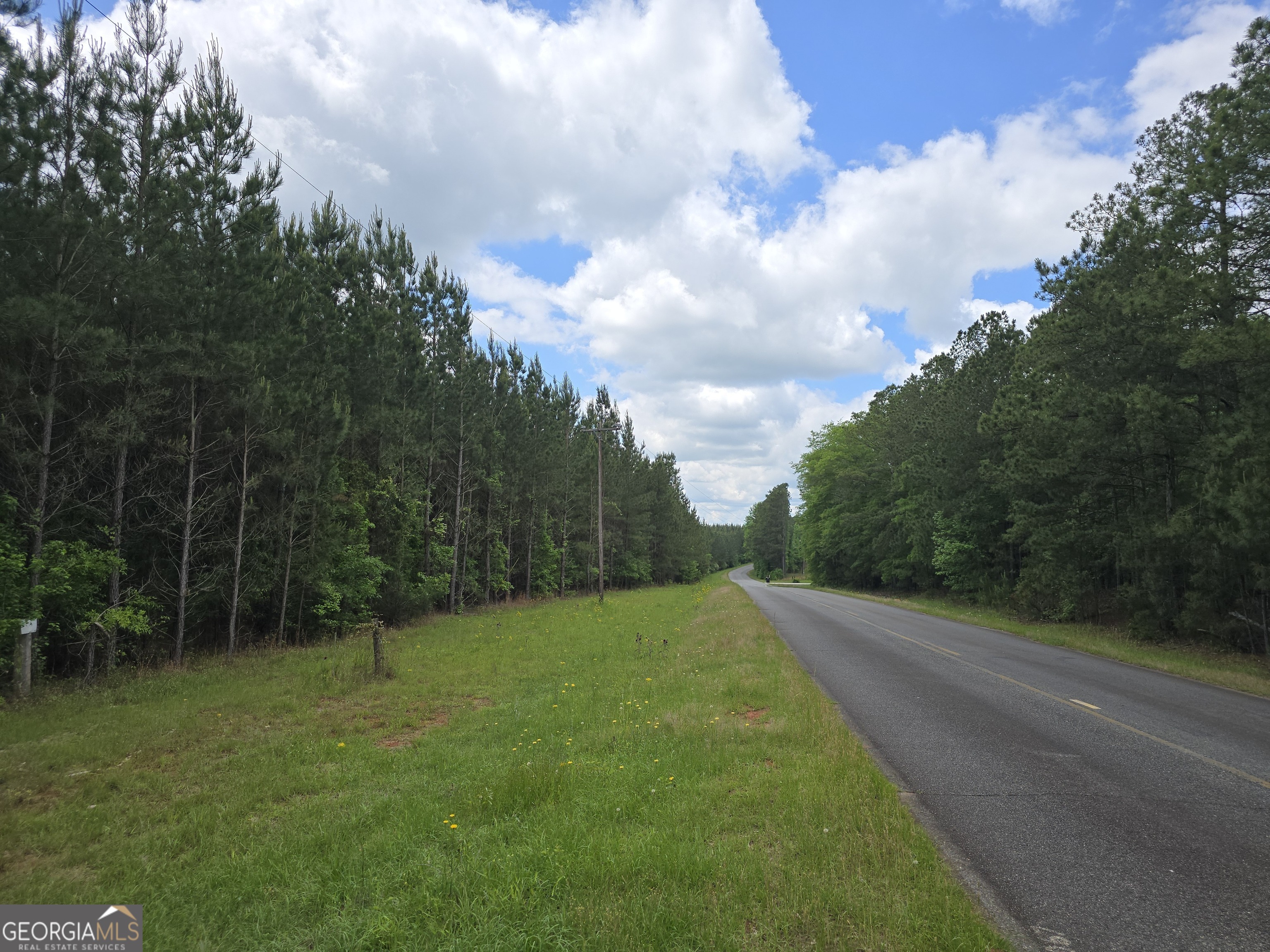 0 Davis Lake Road Property Photo 9