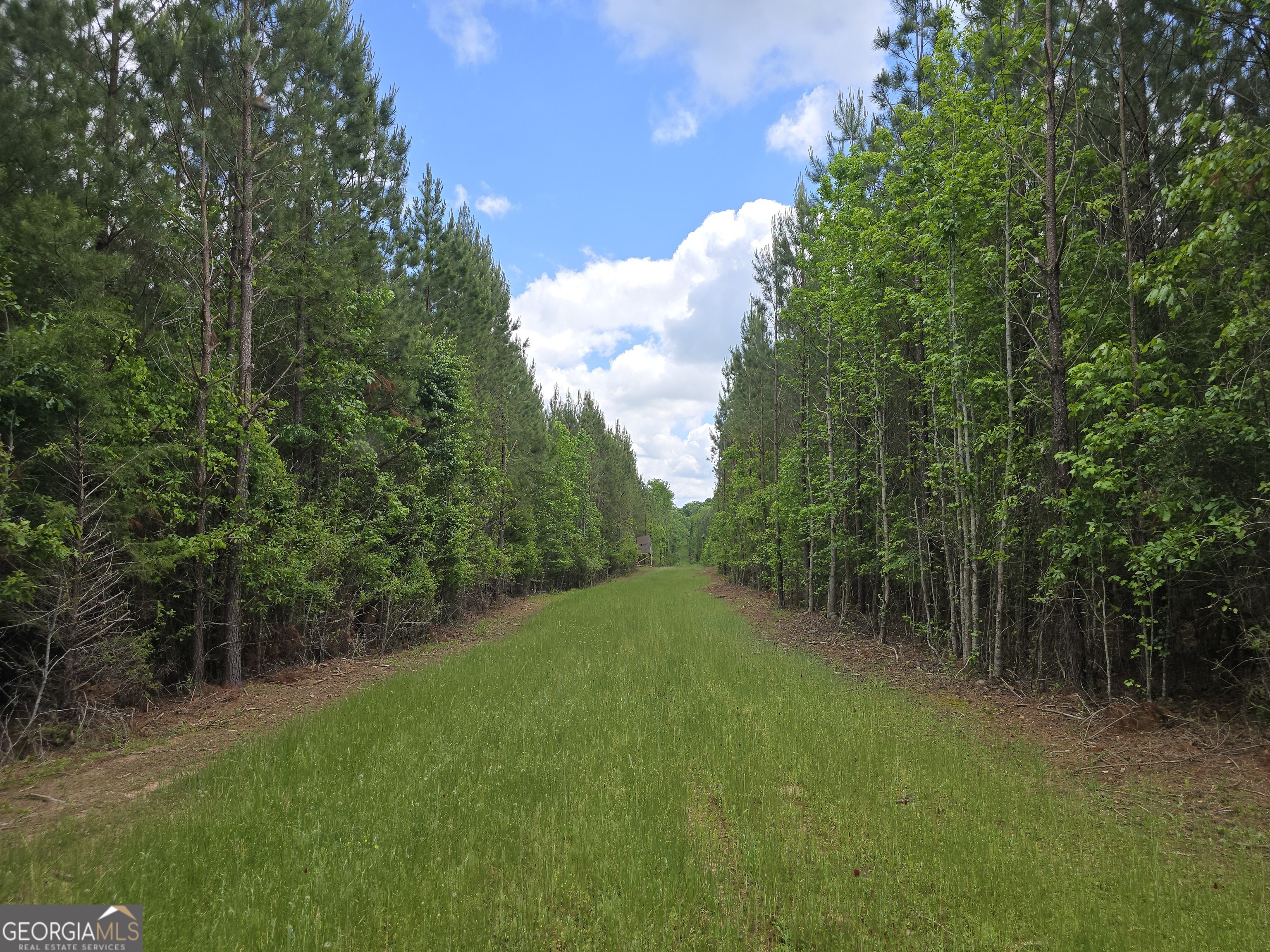 0 Davis Lake Road Property Photo 10