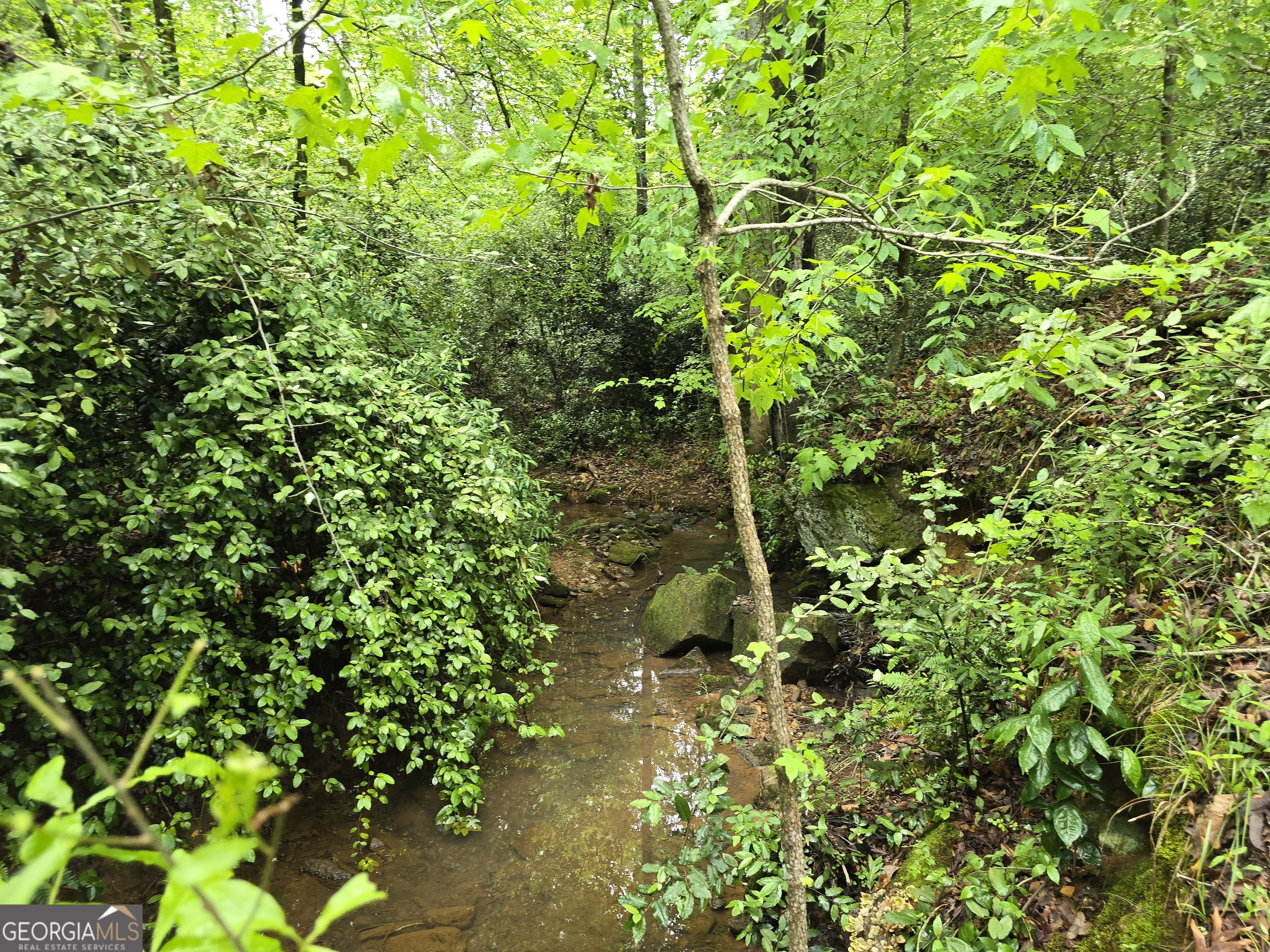0 Davis Lake Road Property Photo 12