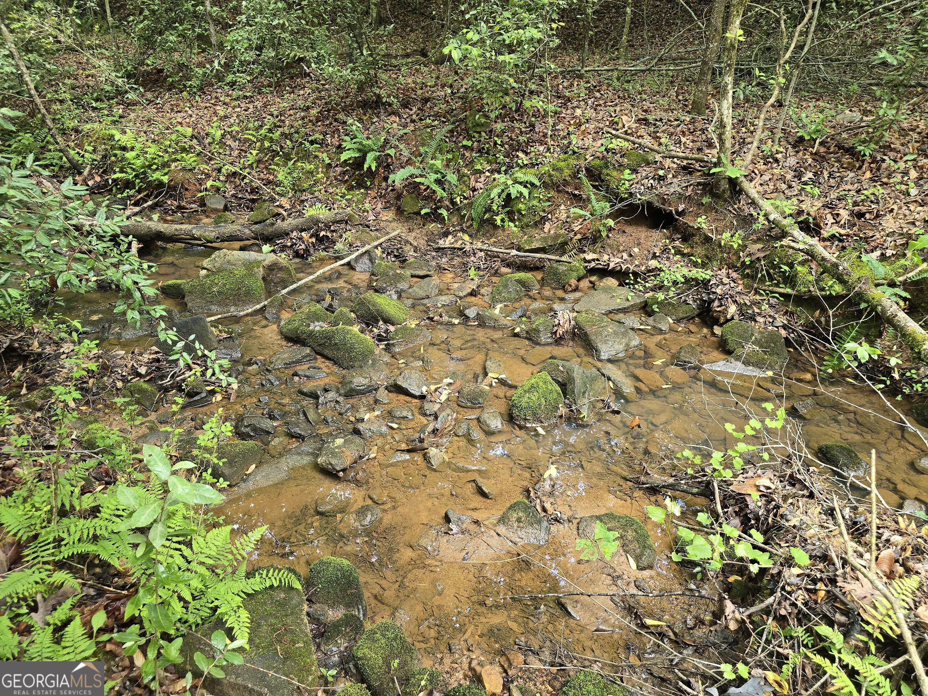 0 Davis Lake Road Property Photo 14