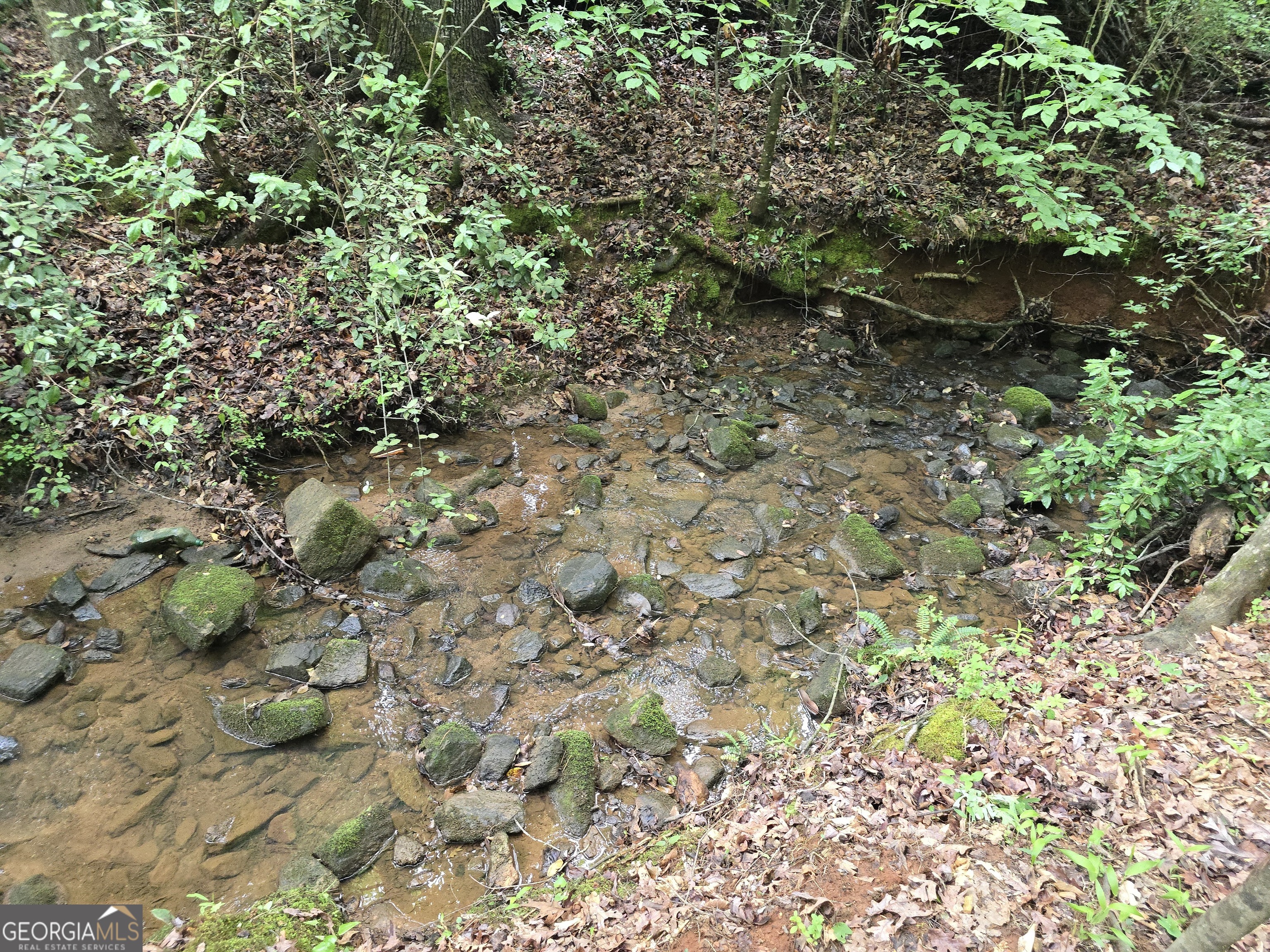 0 Davis Lake Road Property Photo 15