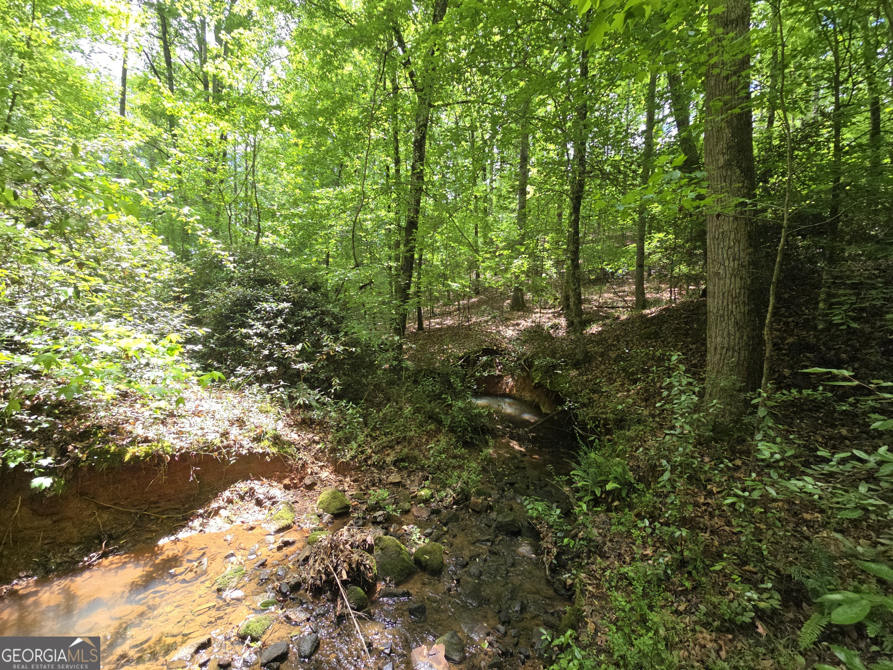0 Davis Lake Road Property Photo 16
