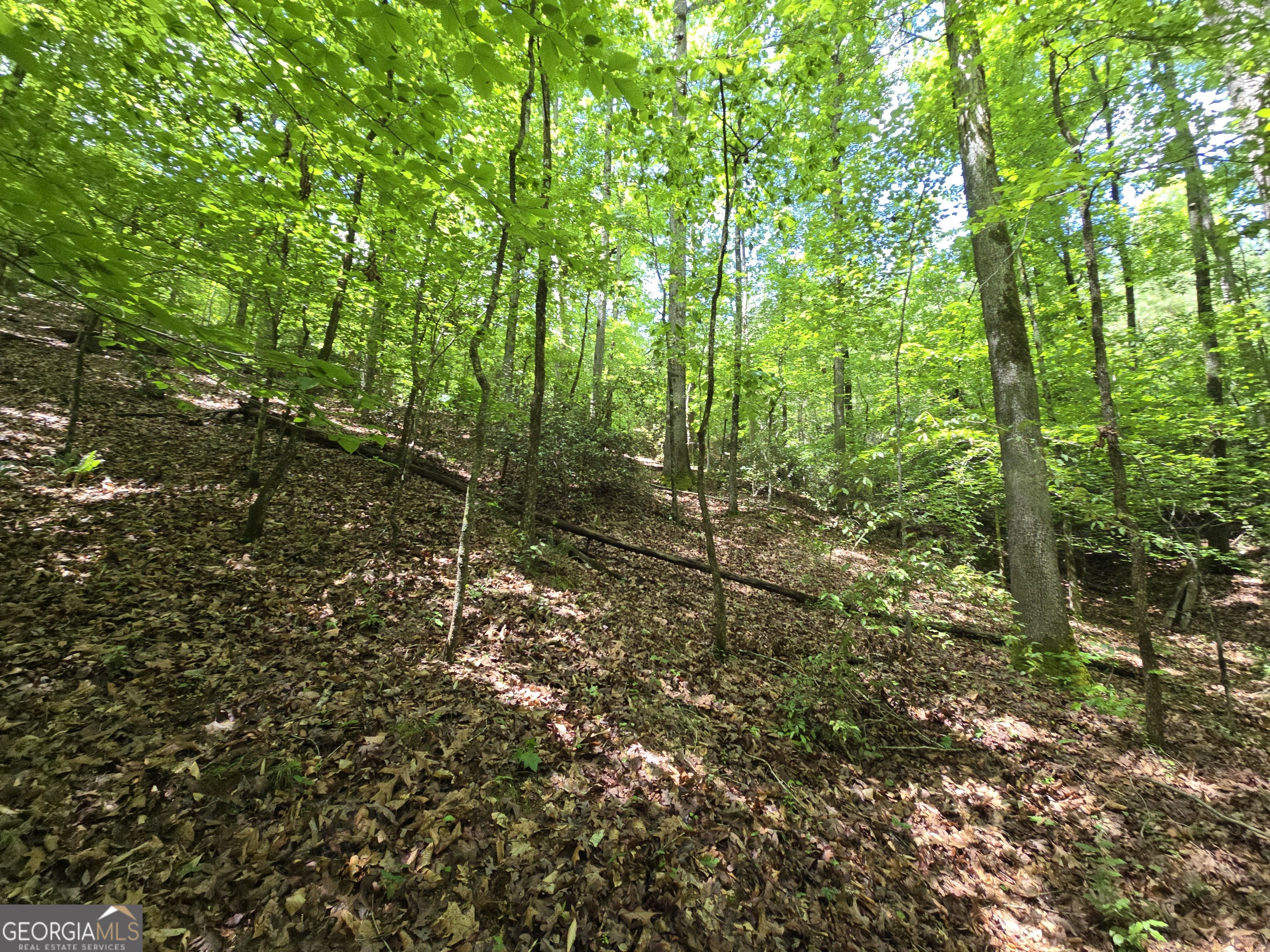0 Davis Lake Road Property Photo 17