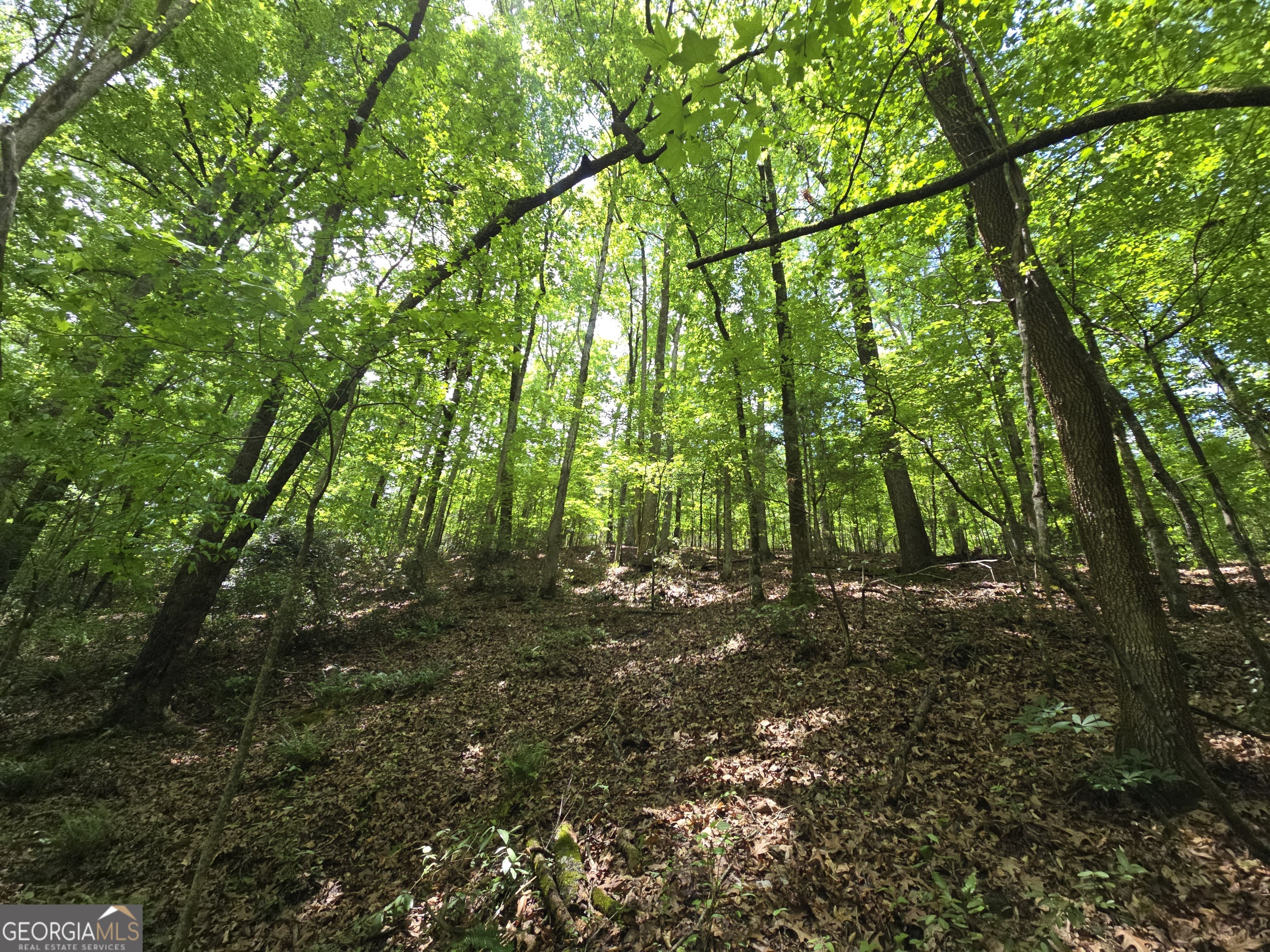 0 Davis Lake Road Property Photo 18