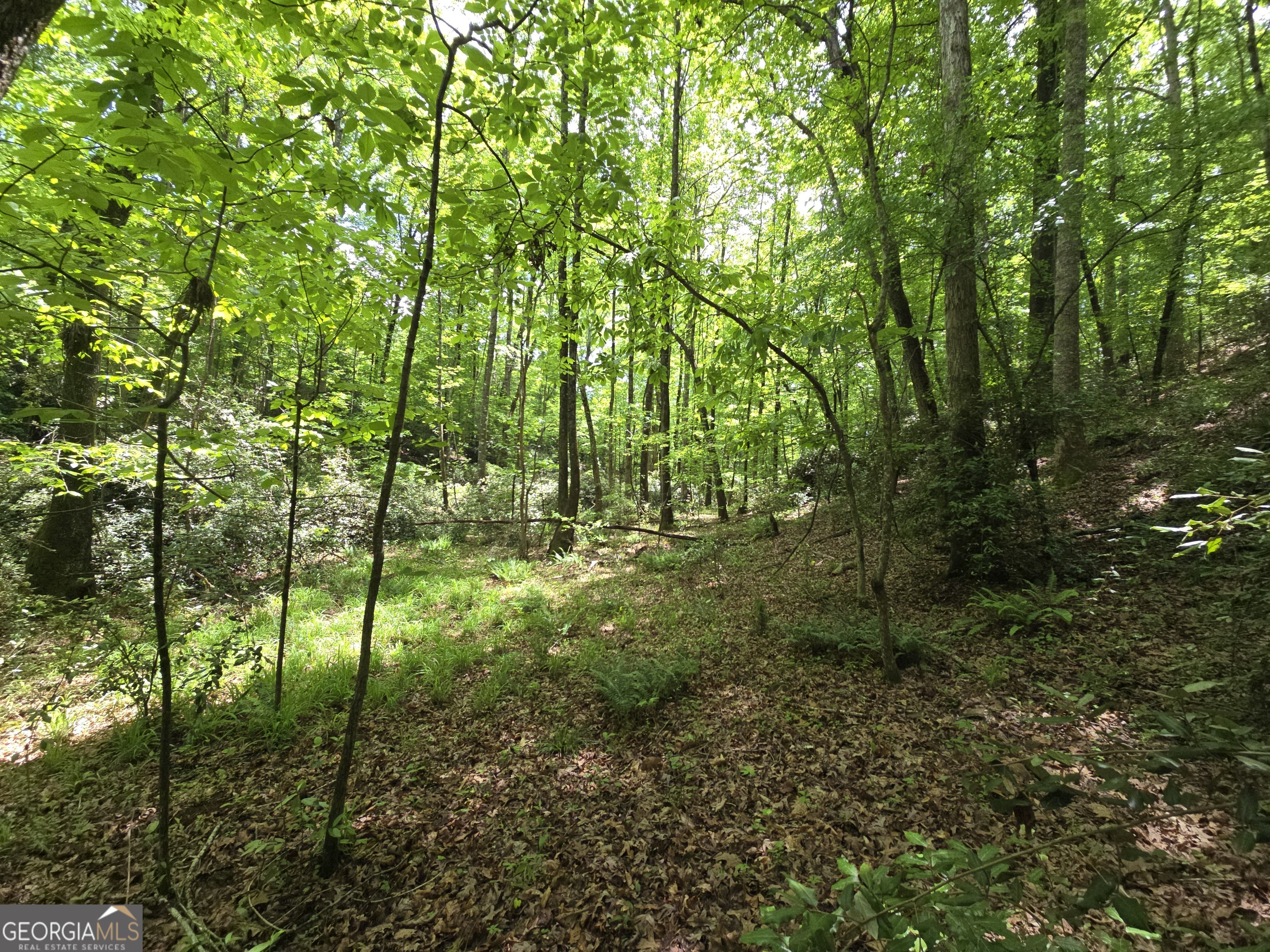 0 Davis Lake Road Property Photo 19