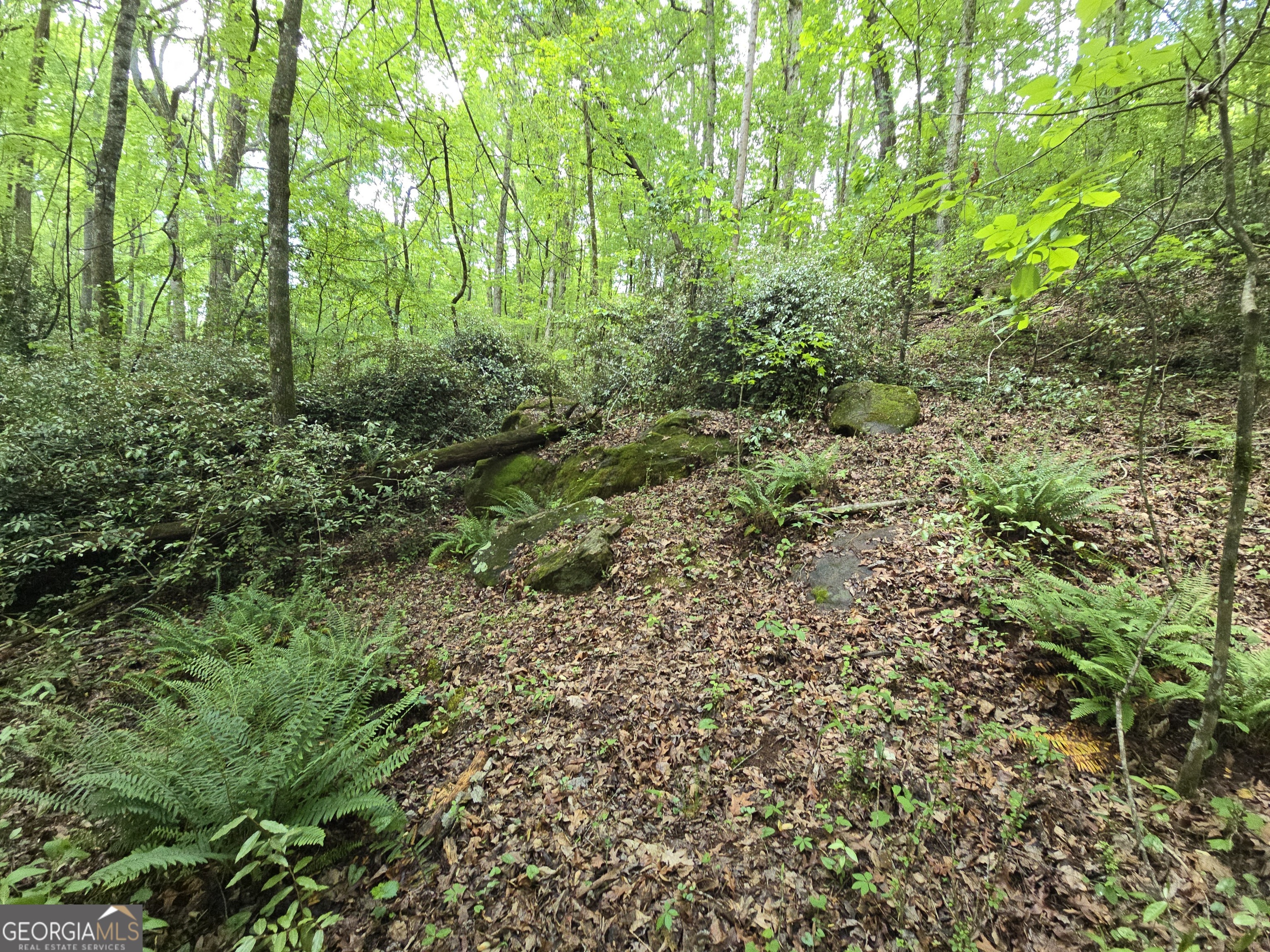 0 Davis Lake Road Property Photo 20
