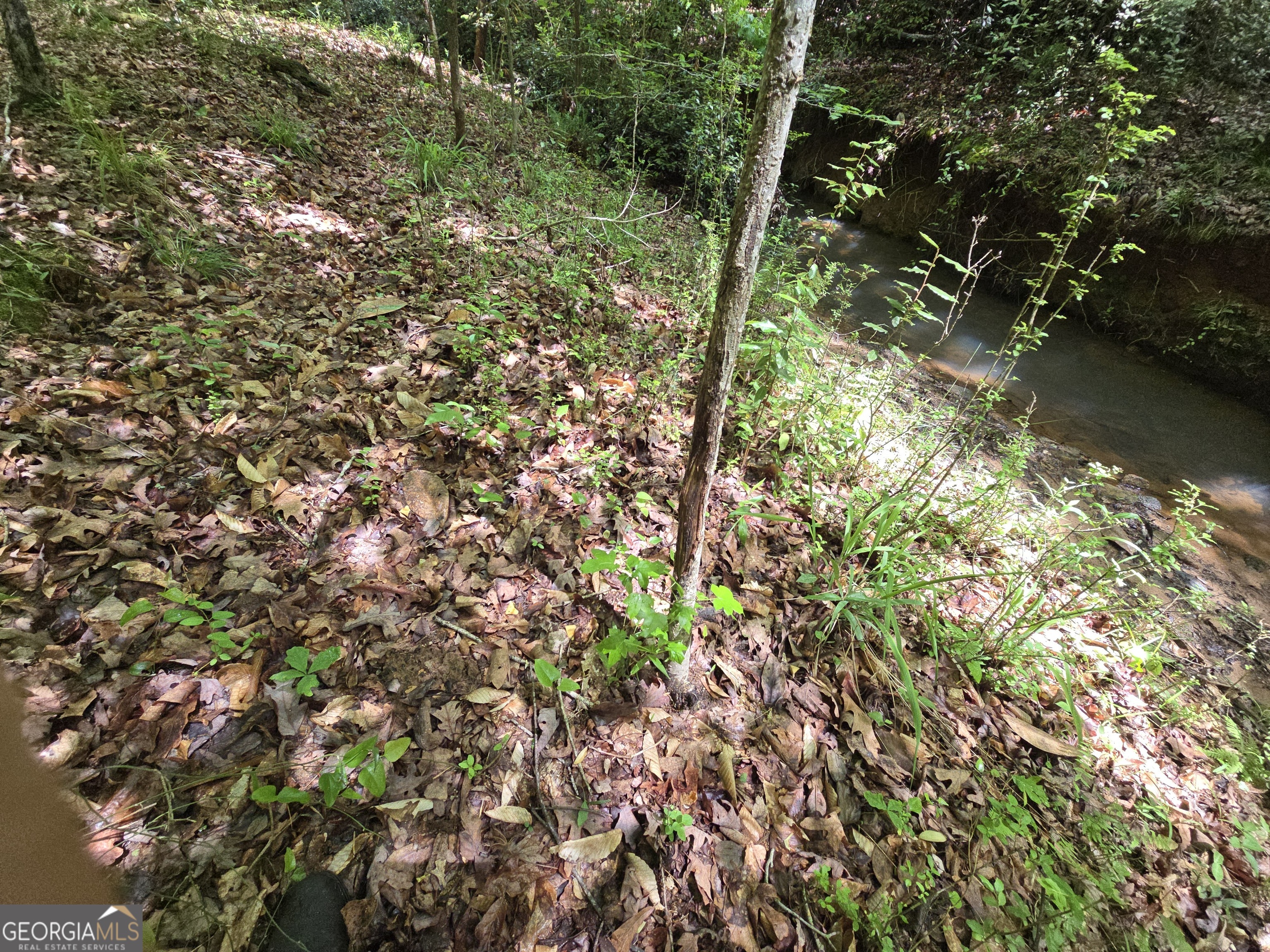 0 Davis Lake Road Property Photo 24