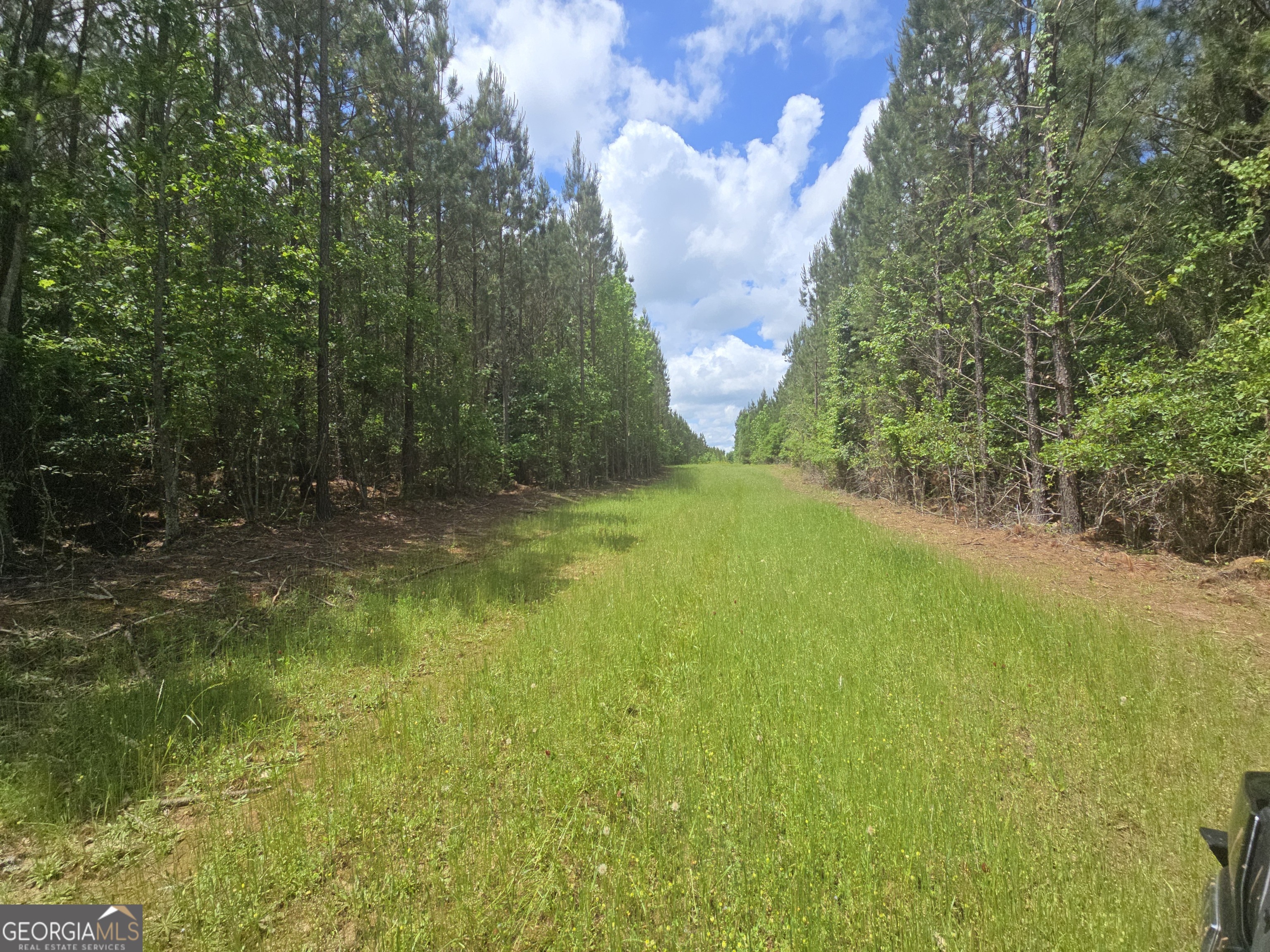 0 Davis Lake Road Property Photo 25