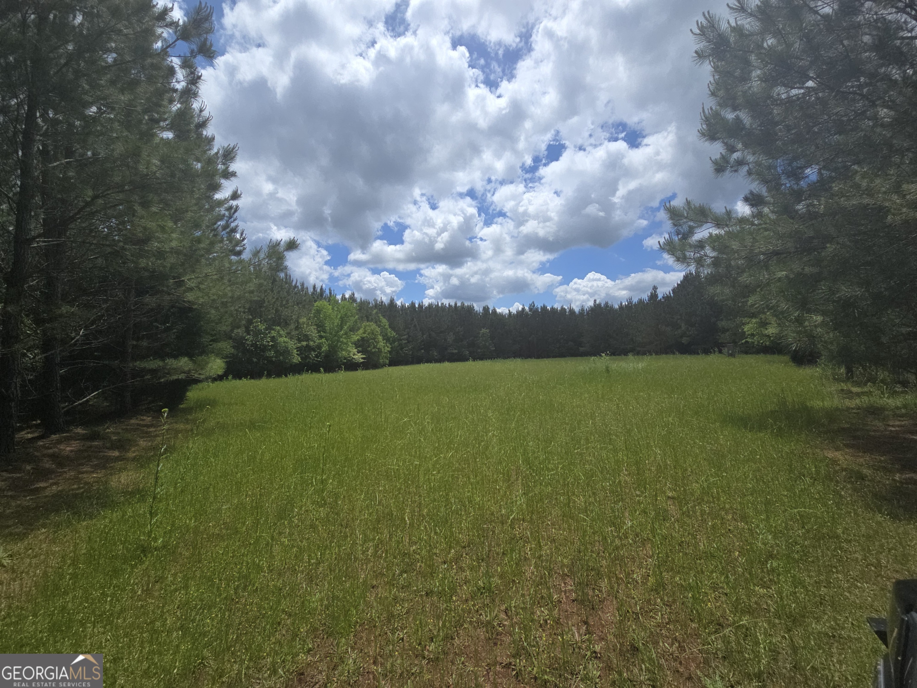 0 Davis Lake Road Property Photo 26