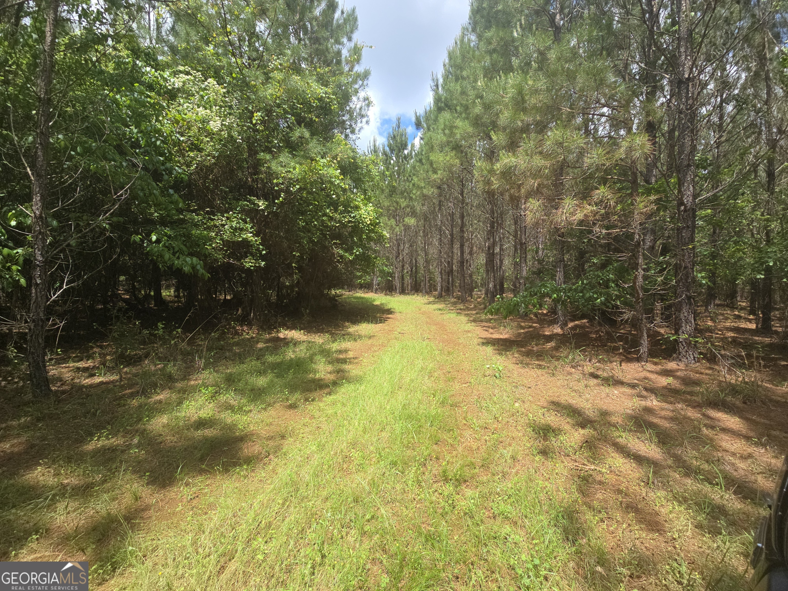 0 Davis Lake Road Property Photo 27