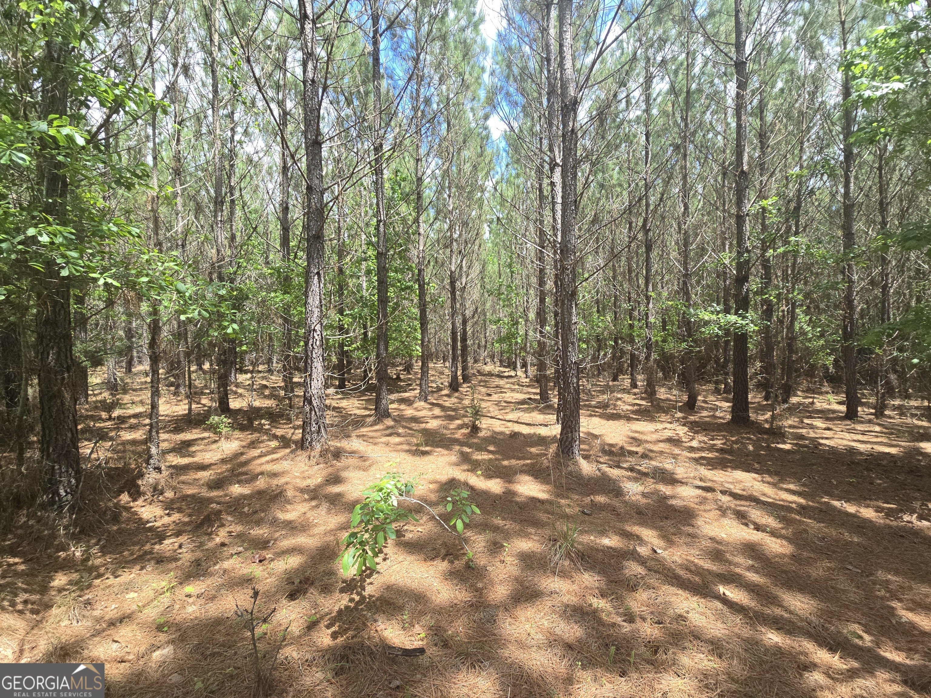 0 Davis Lake Road Property Photo 28