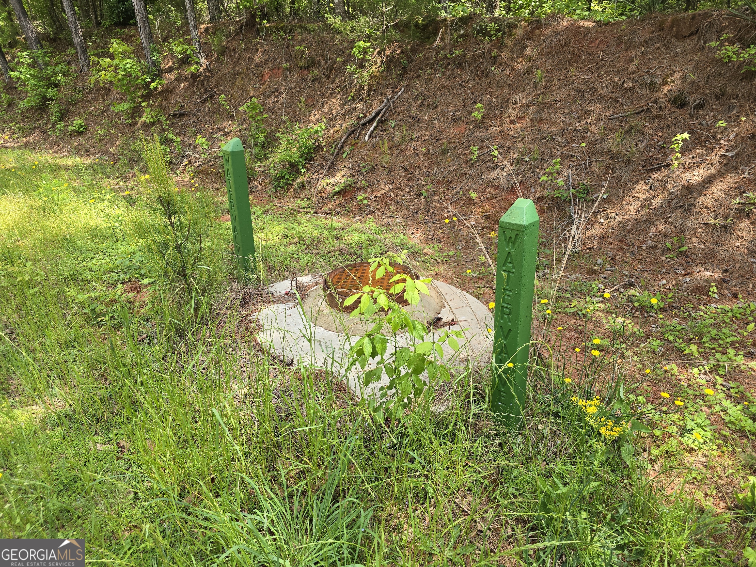 0 Davis Lake Road Property Photo 31
