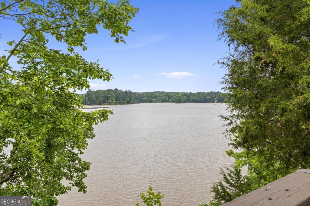 296 Reeves Road Property Photo 29