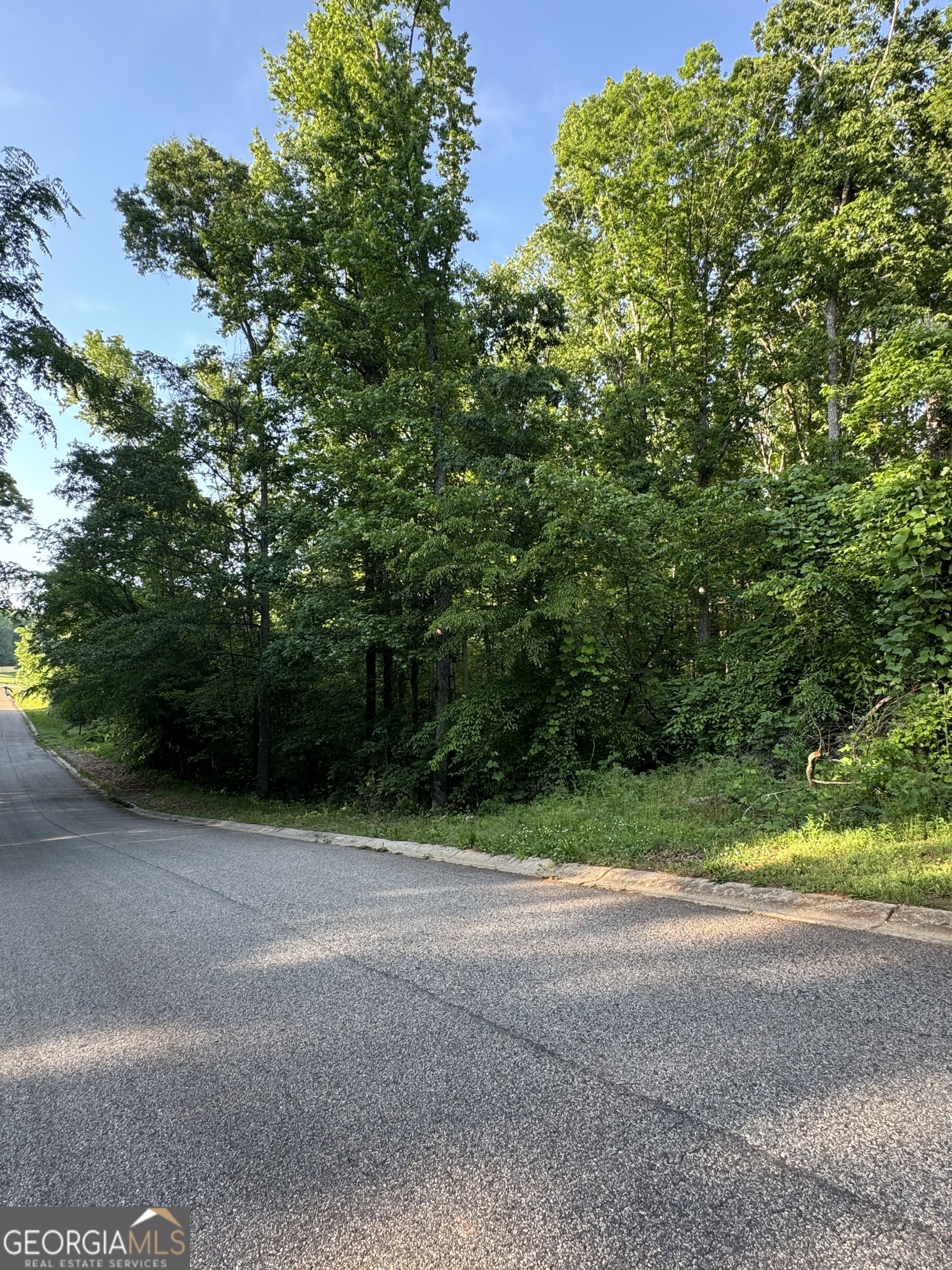 0 Hargrove Circle Property Photo