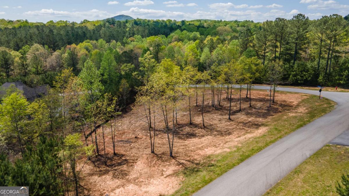 Lot 41 Sandy Lake Lane Property Photo 1