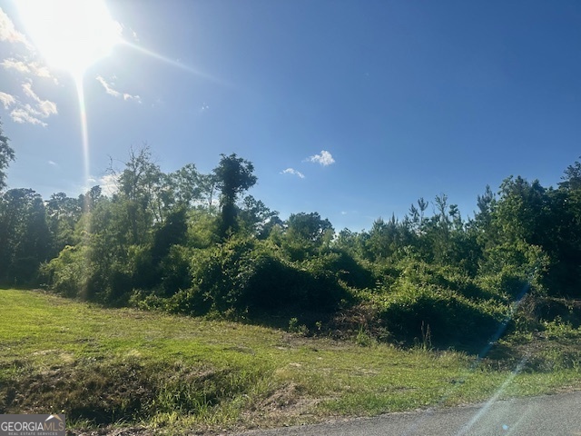 0 Warnell Avenue Property Photo 1