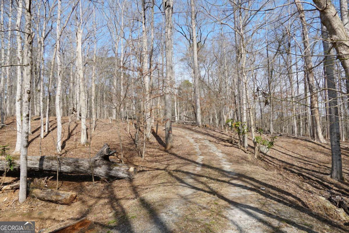 0 Hawk Run Property Photo 3