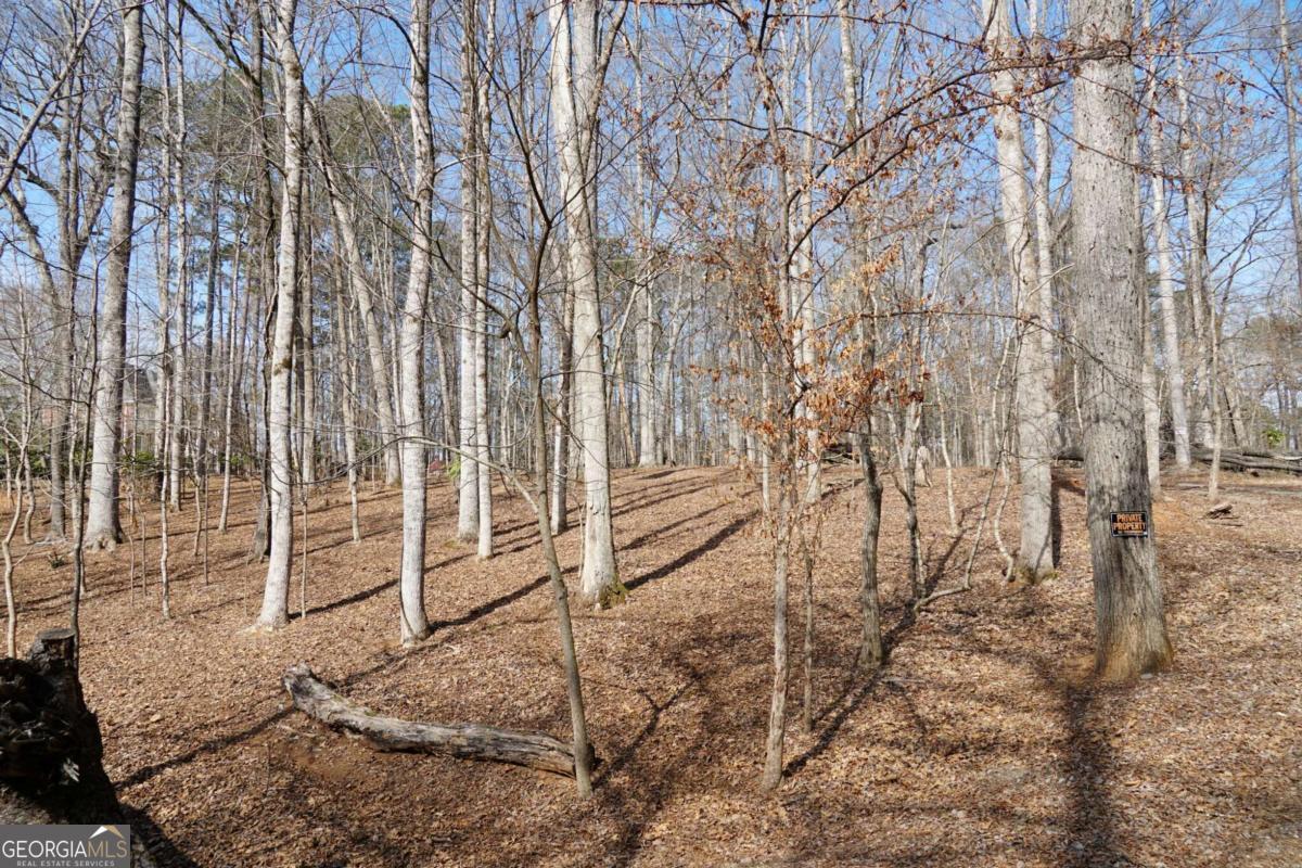 0 Hawk Run Property Photo 5