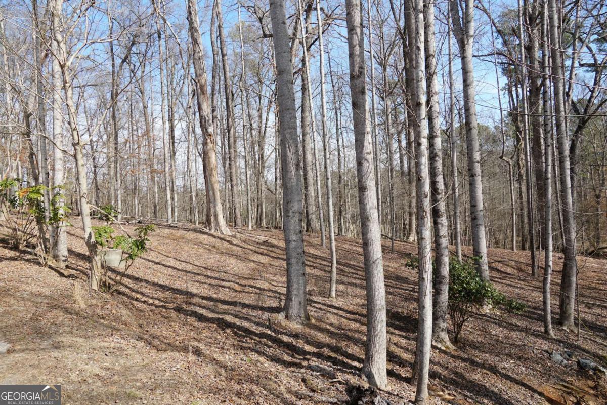 0 Hawk Run Property Photo 6