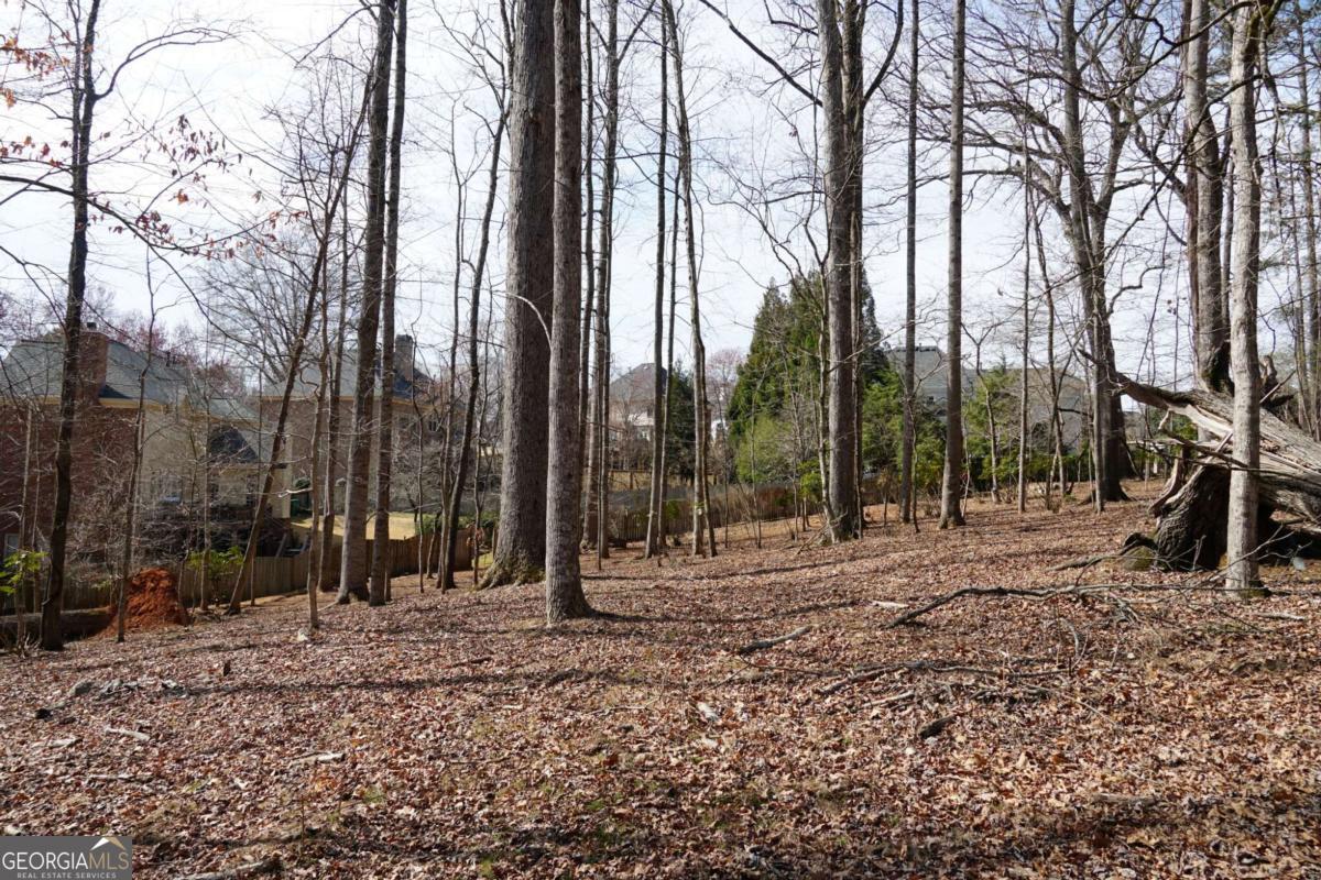 0 Hawk Run Property Photo 7