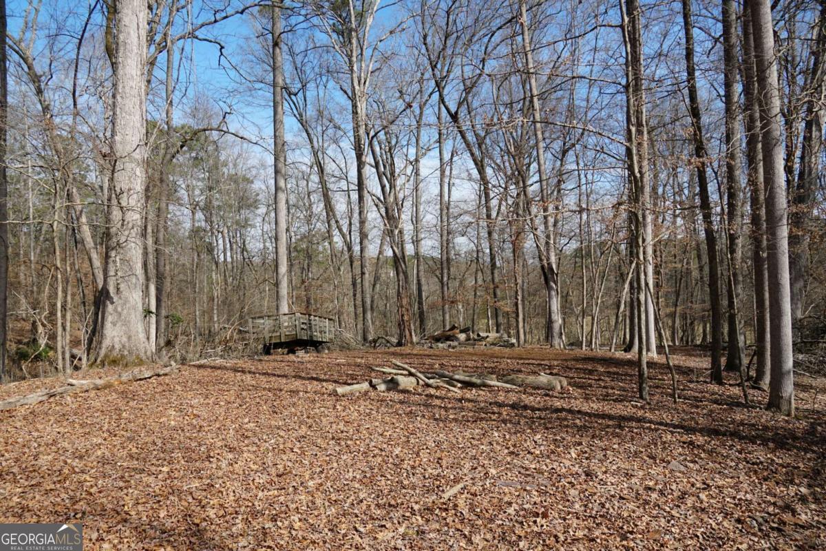 0 Hawk Run Property Photo 8