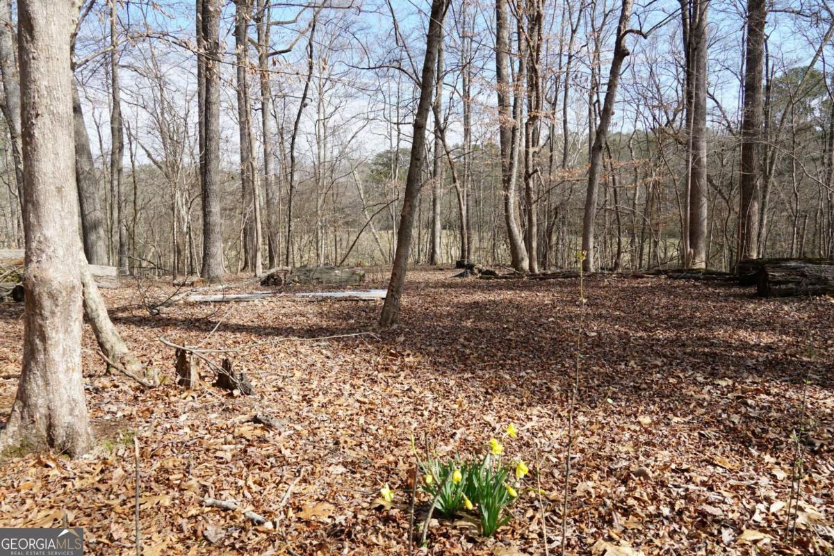 0 Hawk Run Property Photo 9