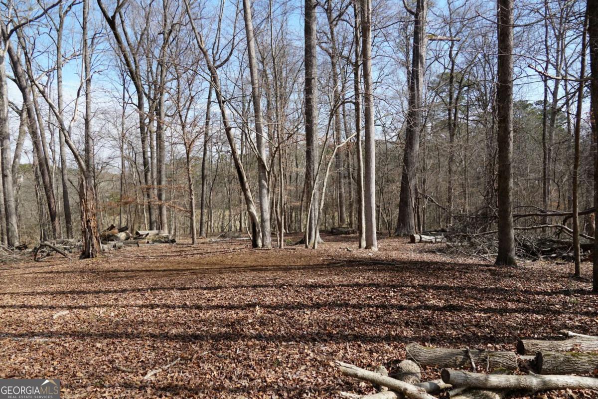 0 Hawk Run Property Photo 10