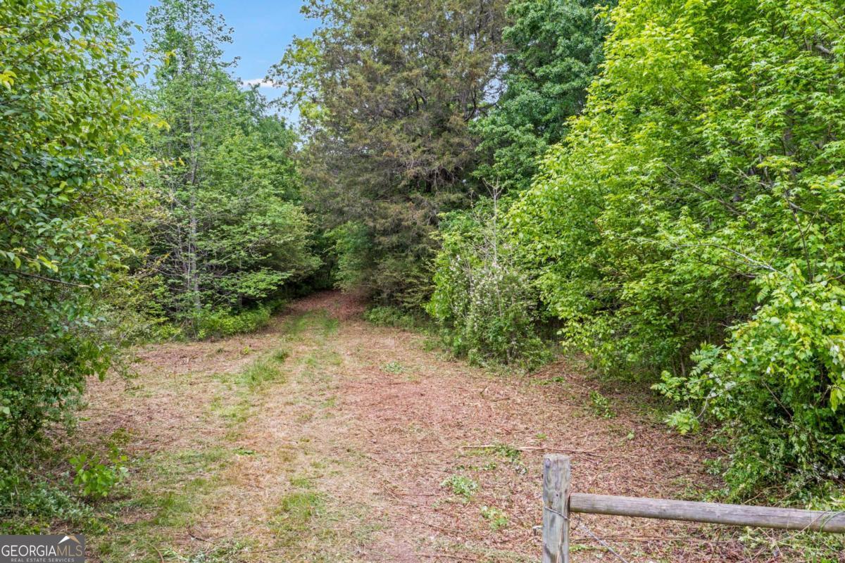 0 Mountain Road Property Photo 4