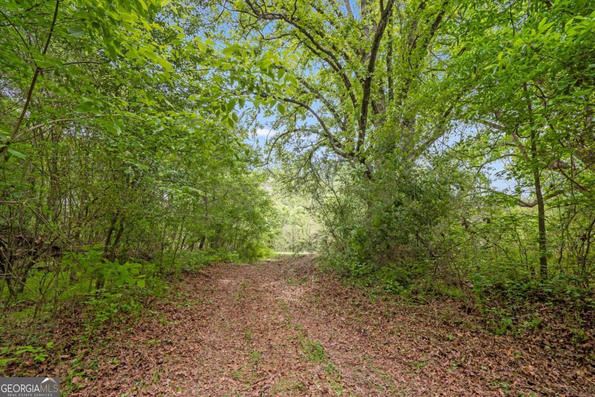 0 Mountain Road Property Photo 5