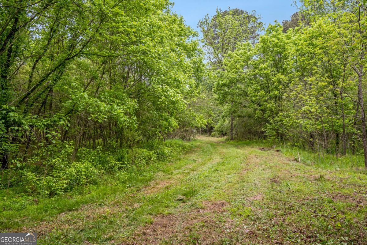 0 Mountain Road Property Photo 6