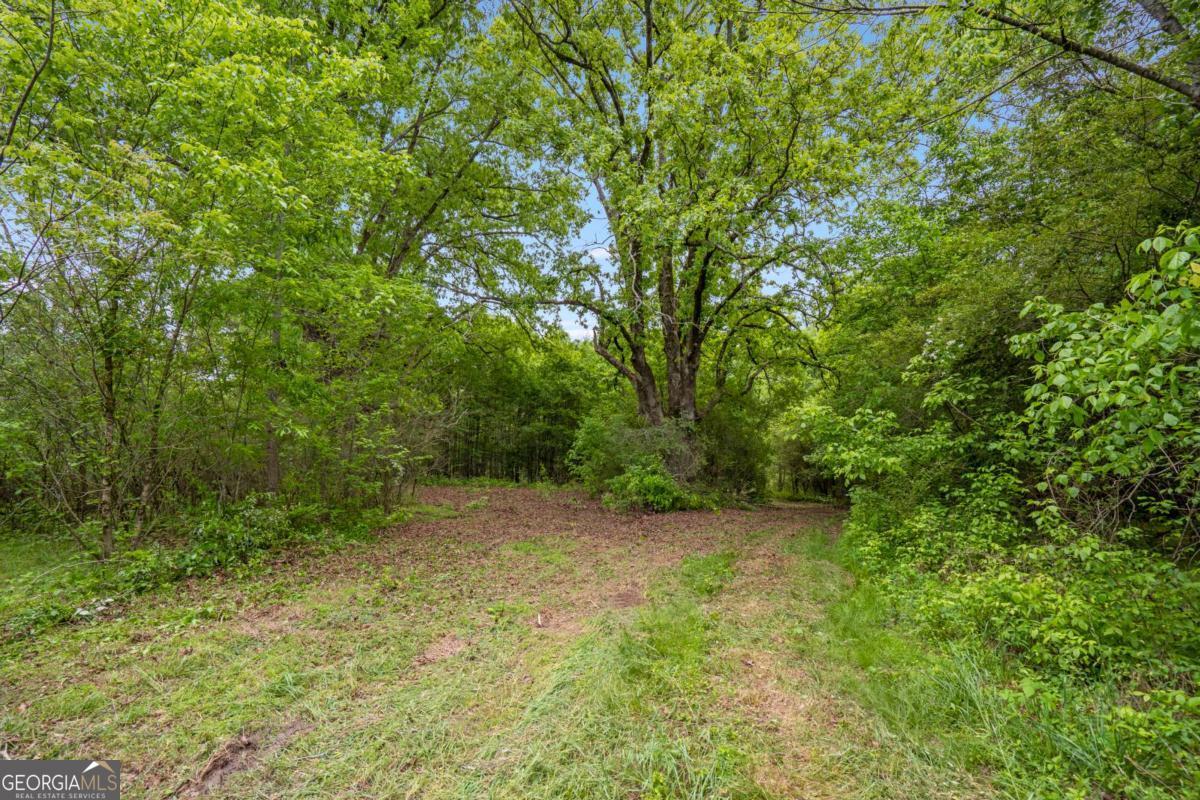 0 Mountain Road Property Photo 7
