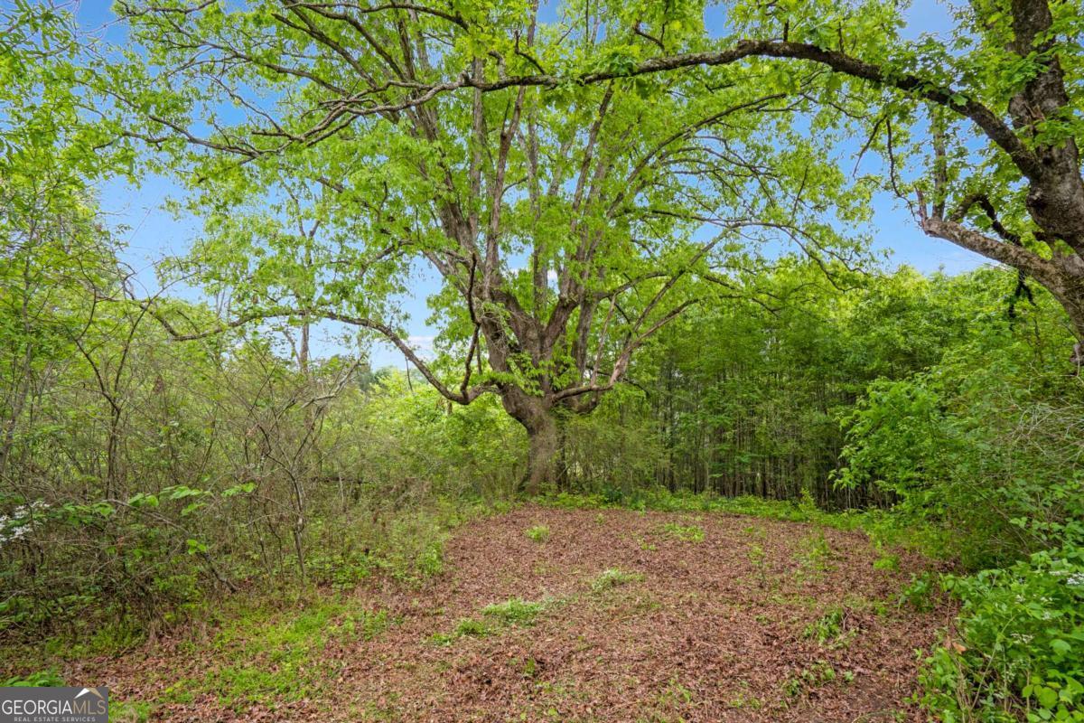 0 Mountain Road Property Photo 9