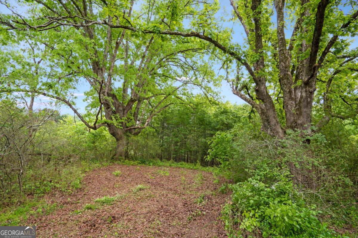 0 Mountain Road Property Photo 10