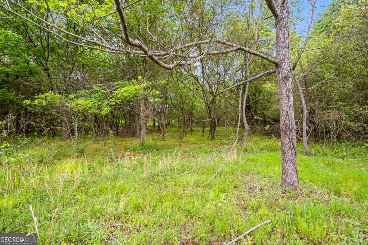 0 Mountain Road Property Photo 11