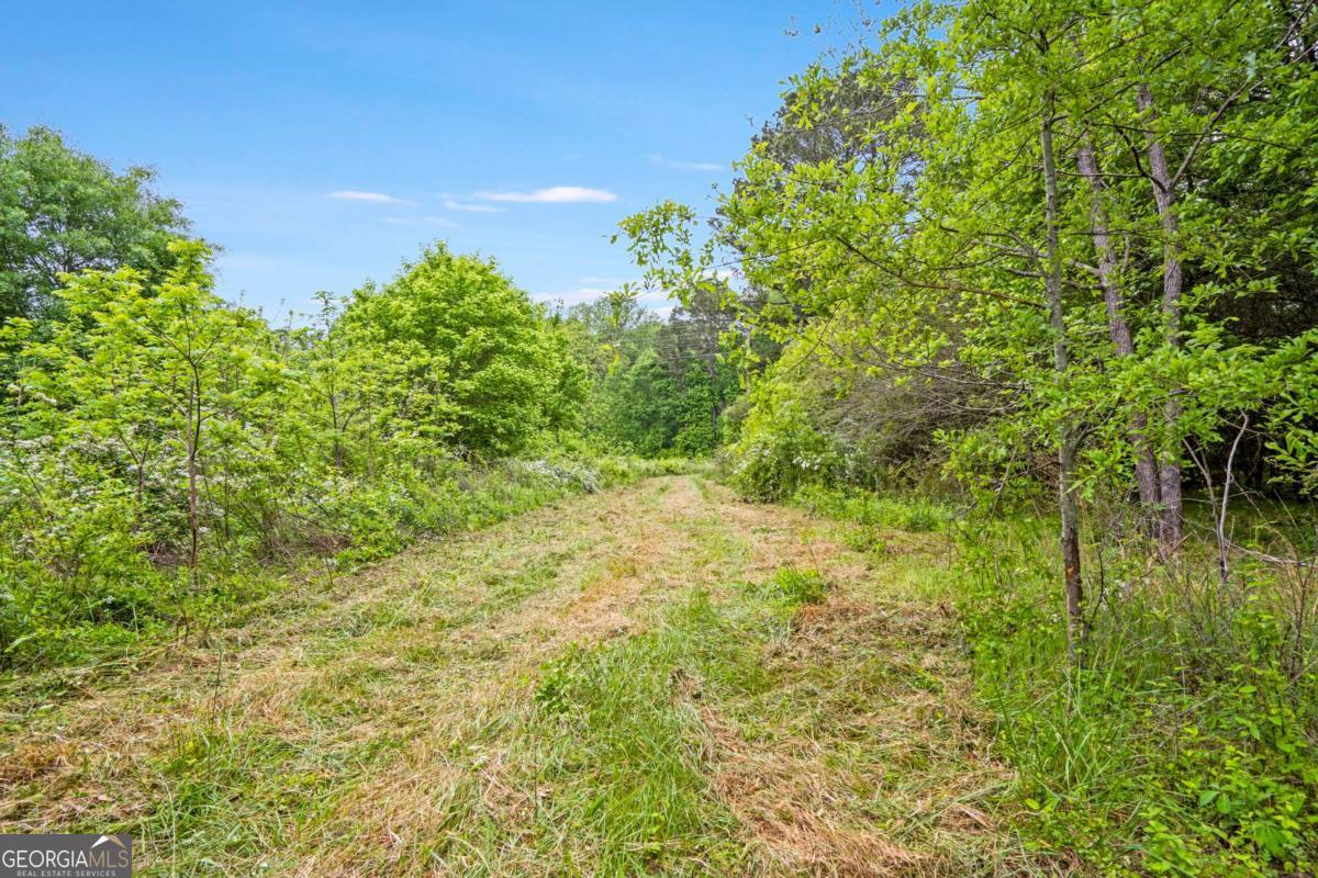 0 Mountain Road Property Photo 12