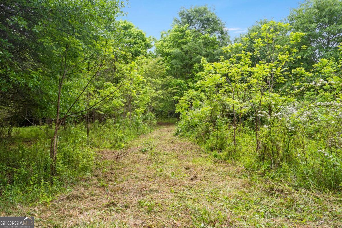 0 Mountain Road Property Photo 13