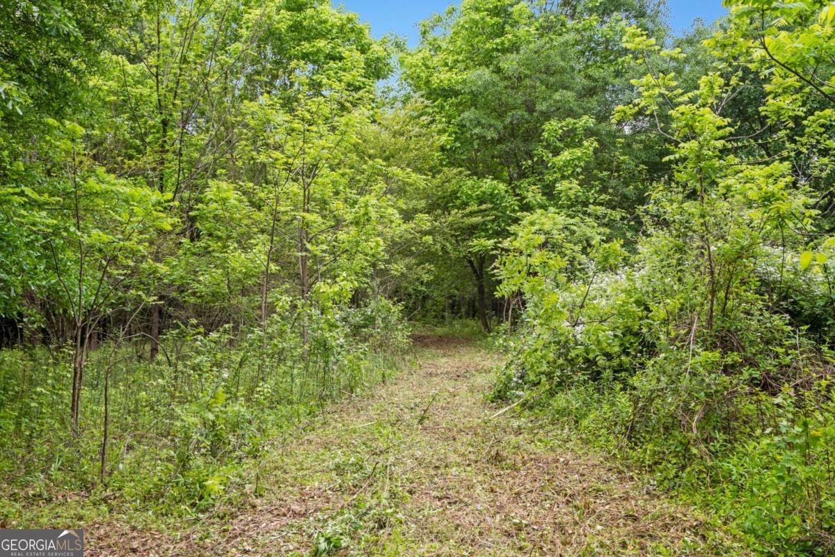 0 Mountain Road Property Photo 14