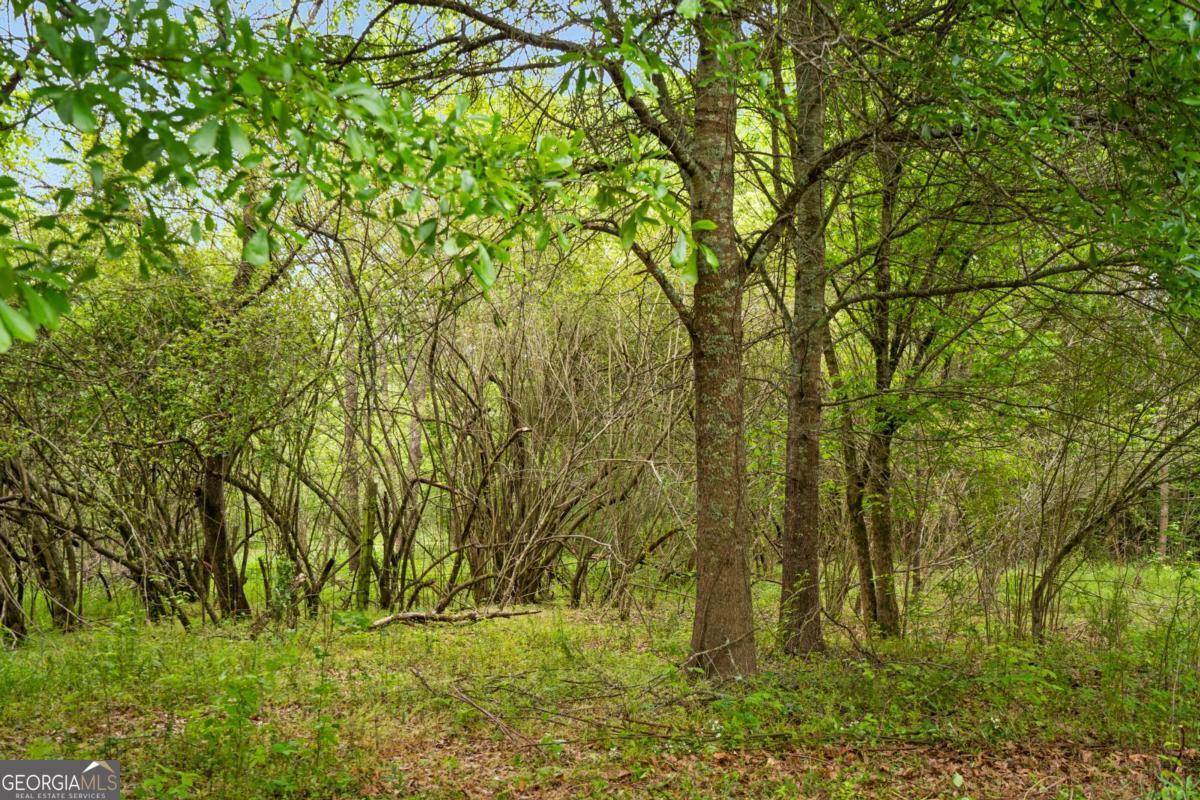0 Mountain Road Property Photo 15