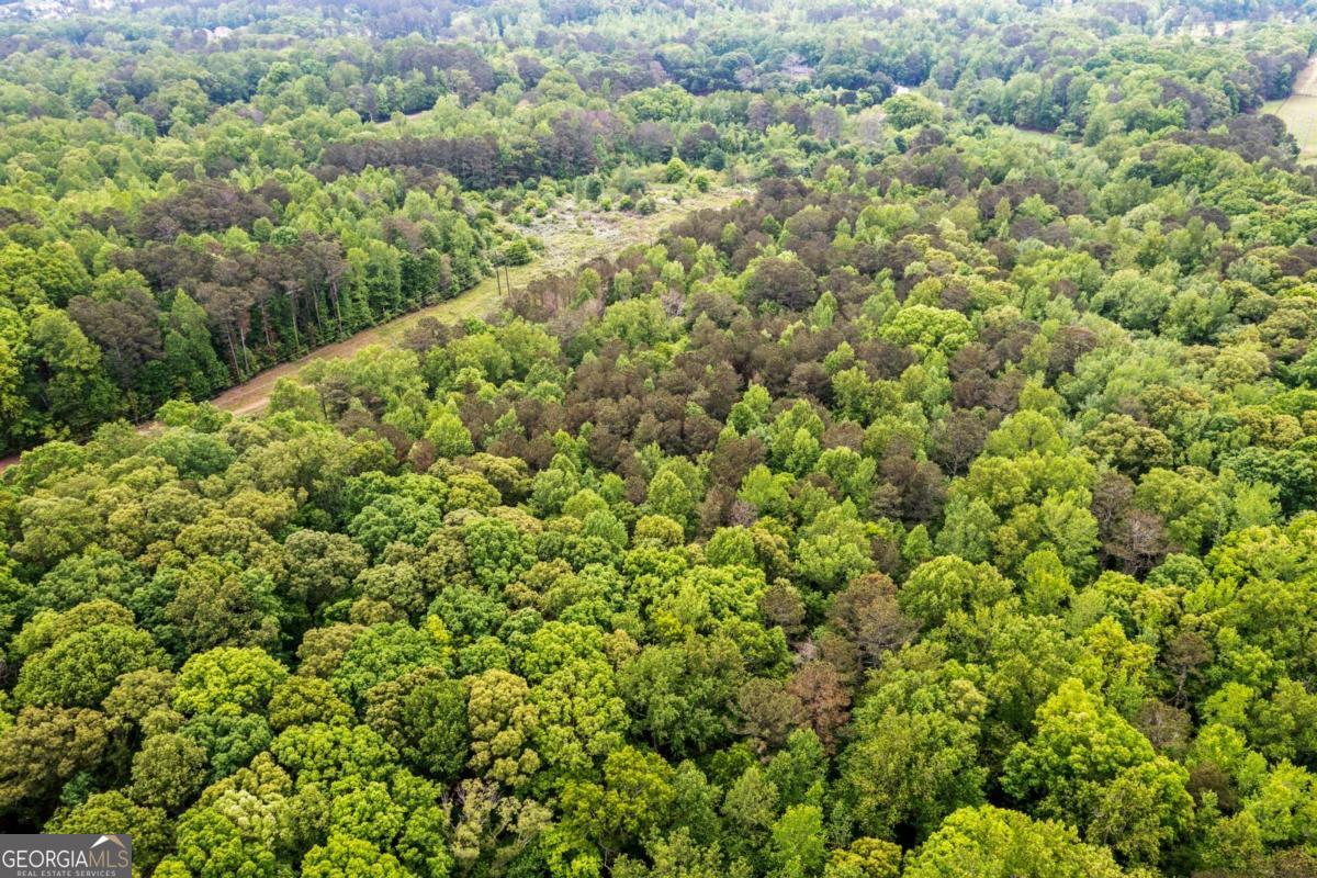 0 Mountain Road Property Photo 18