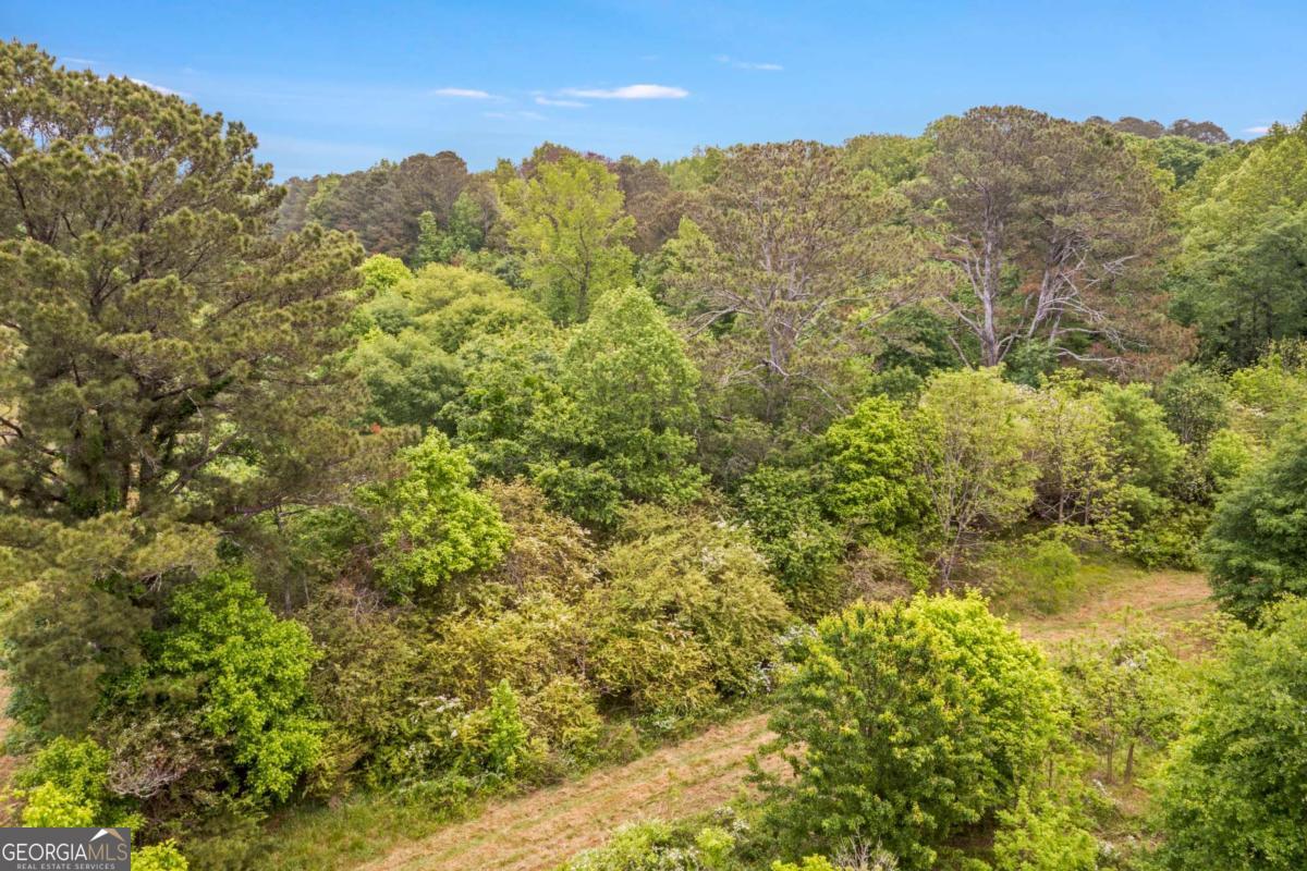 0 Mountain Road Property Photo 20