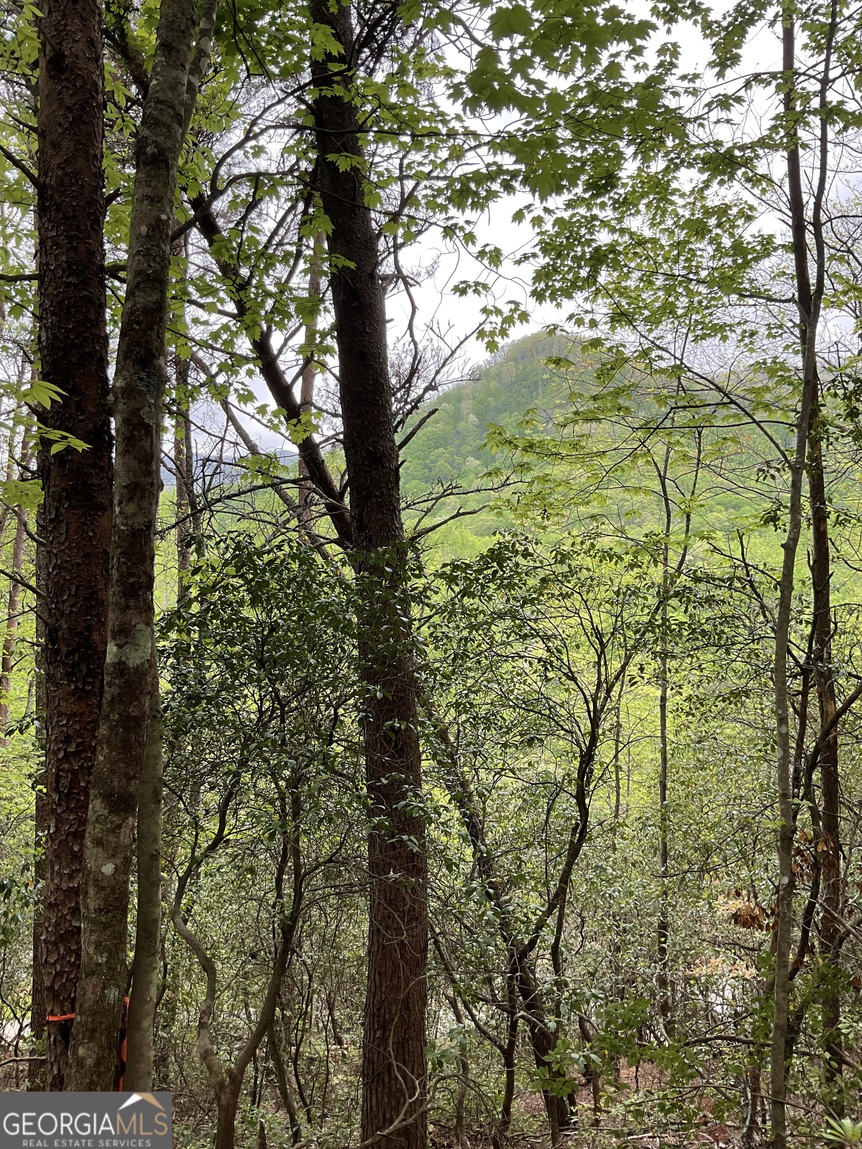 0 Big Creek Property Photo 1