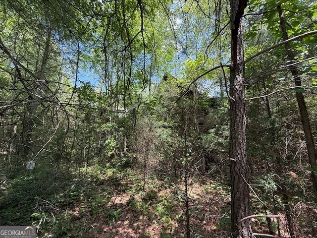 6343 Hwy 198 Property Photo 2