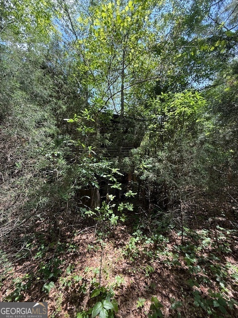 6343 Hwy 198 Property Photo 3