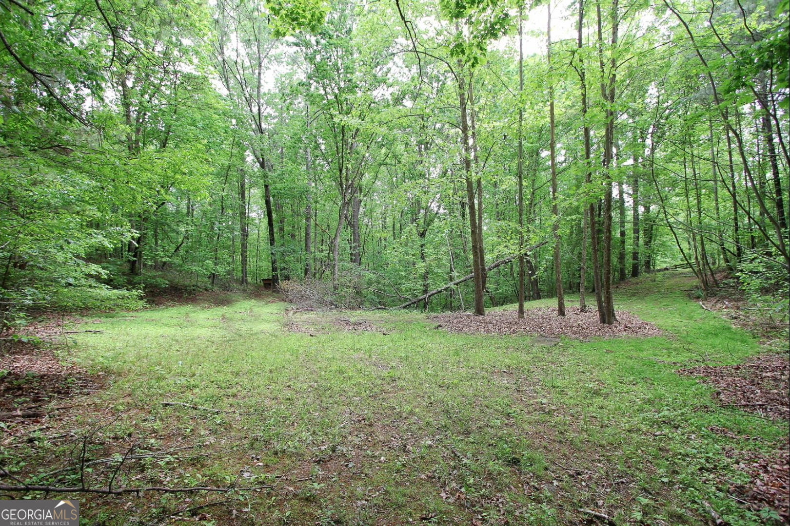 445 Lula Payne Tl Property Photo 18