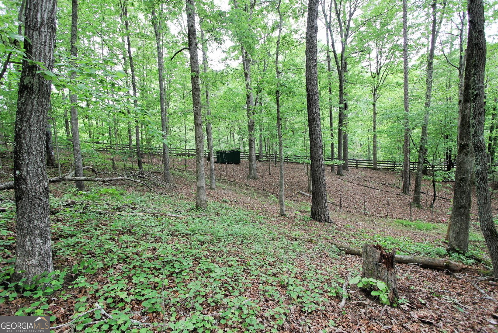 445 Lula Payne Tl Property Photo 65