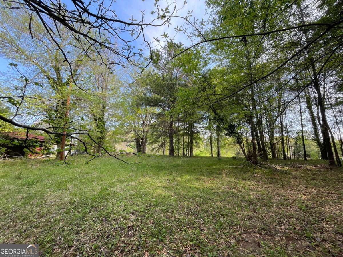 0 Demorest Mt Airy Highway Property Photo 1