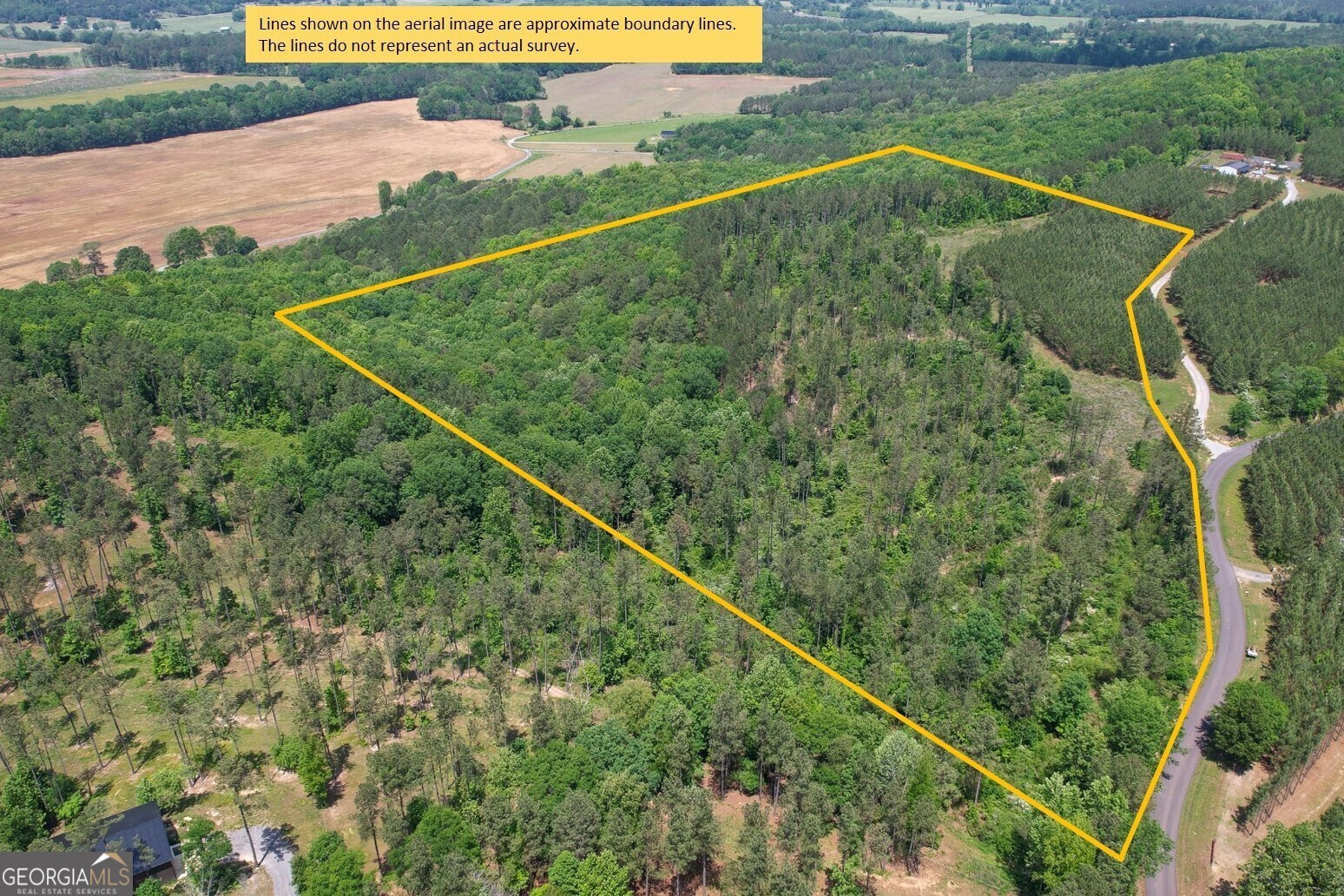 20 +/- Acres On Sling Alley Road Property Photo 1